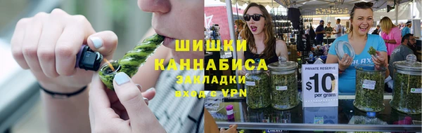 гидра Богородицк