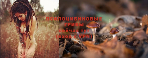 прущая мука Белоозёрский